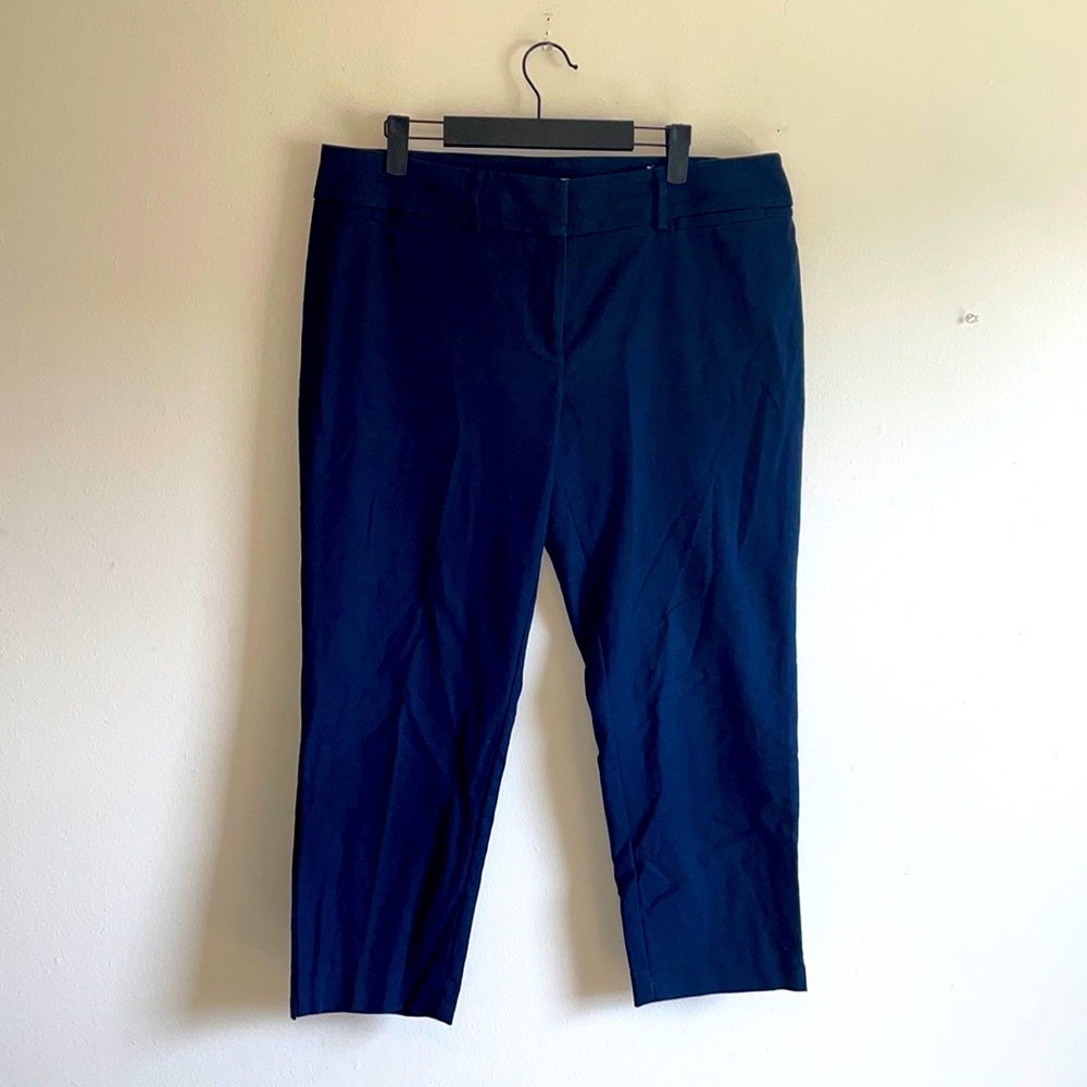 Ann Taylor LOFT Marisa The Riviera Pants